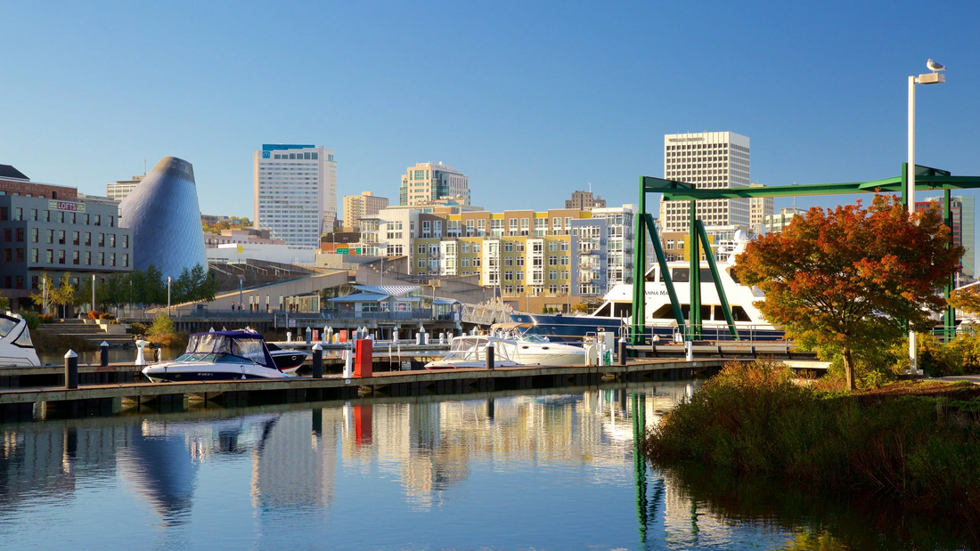 Top or Best Instagram Management Agencies and Companies in Tacoma, Washington
