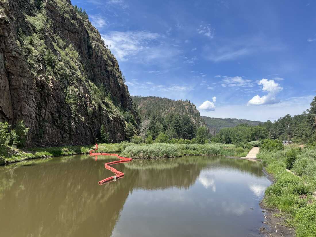 Top or Best Flyer Design Agencies and Companies in Las Vegas, New Mexico