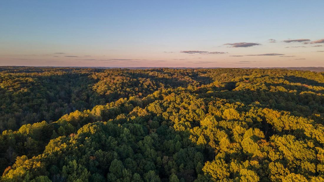 Top or Best Video Editing Agencies and Companies in Franklin, Tennessee