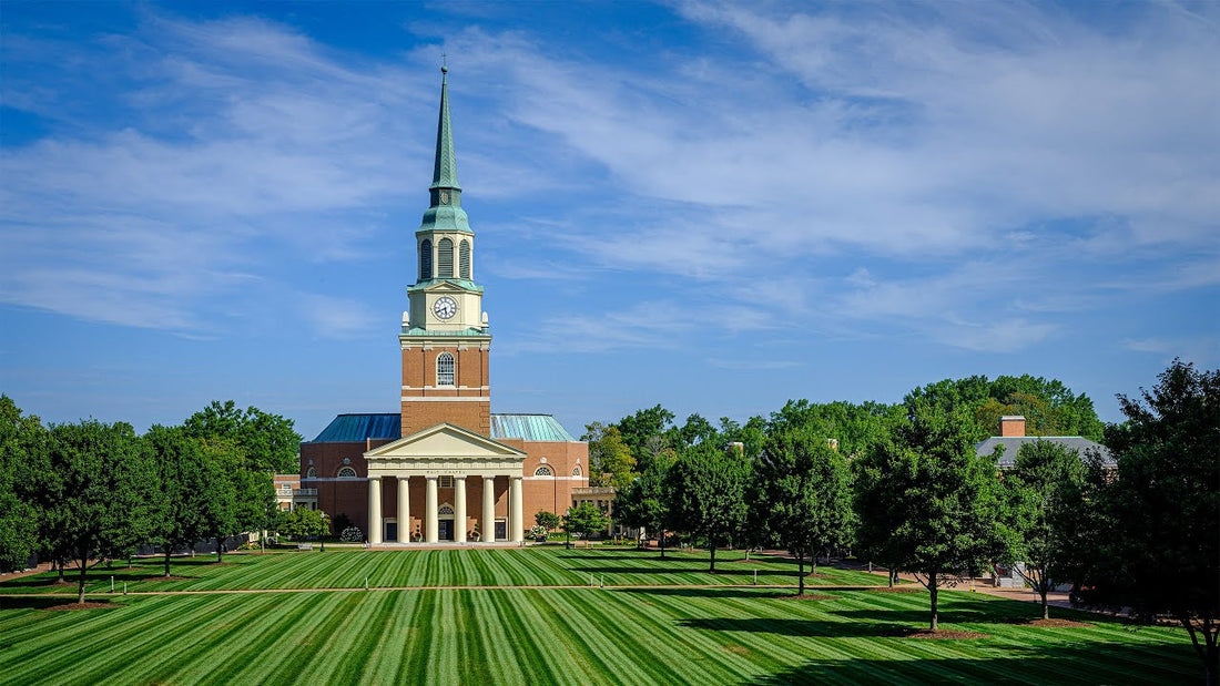 Top or Best NFT Art Agencies and Companies in Wake Forest, North Carolina