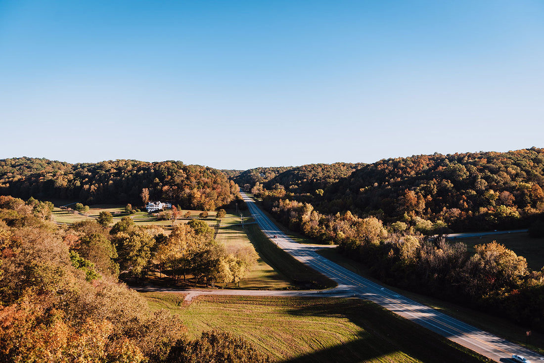 Top or Best NFT Art Agencies and Companies in Spring Hill, Tennessee