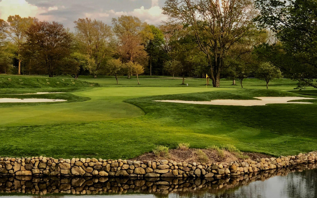 Top or Best Tattoo Design Agencies and Companies in Erie, Pennsylvania