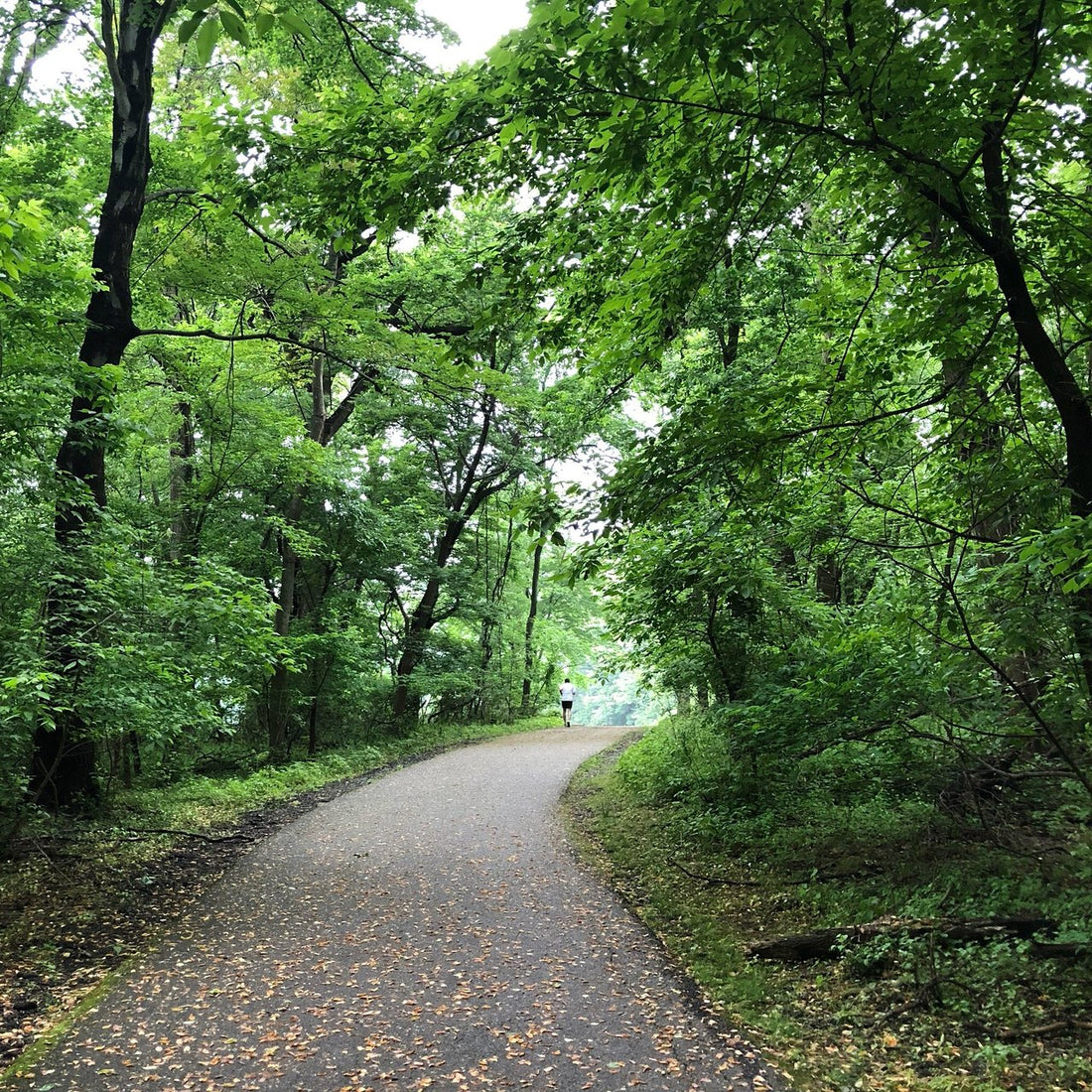 Top or Best YouTube Management Agencies and Companies in Abington, Pennsylvania