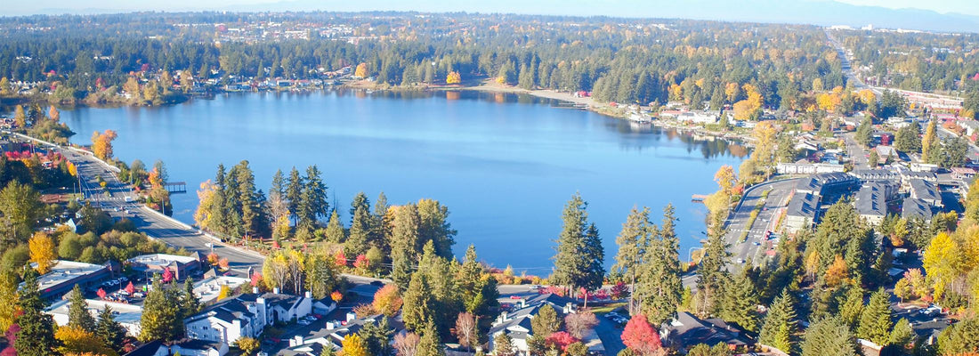 Top or Best Email Campaign Design Agencies and Companies in Everett, Washington