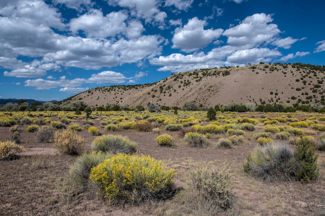 Top or Best Banner Ads Agencies and Companies in Chaparral, New Mexico