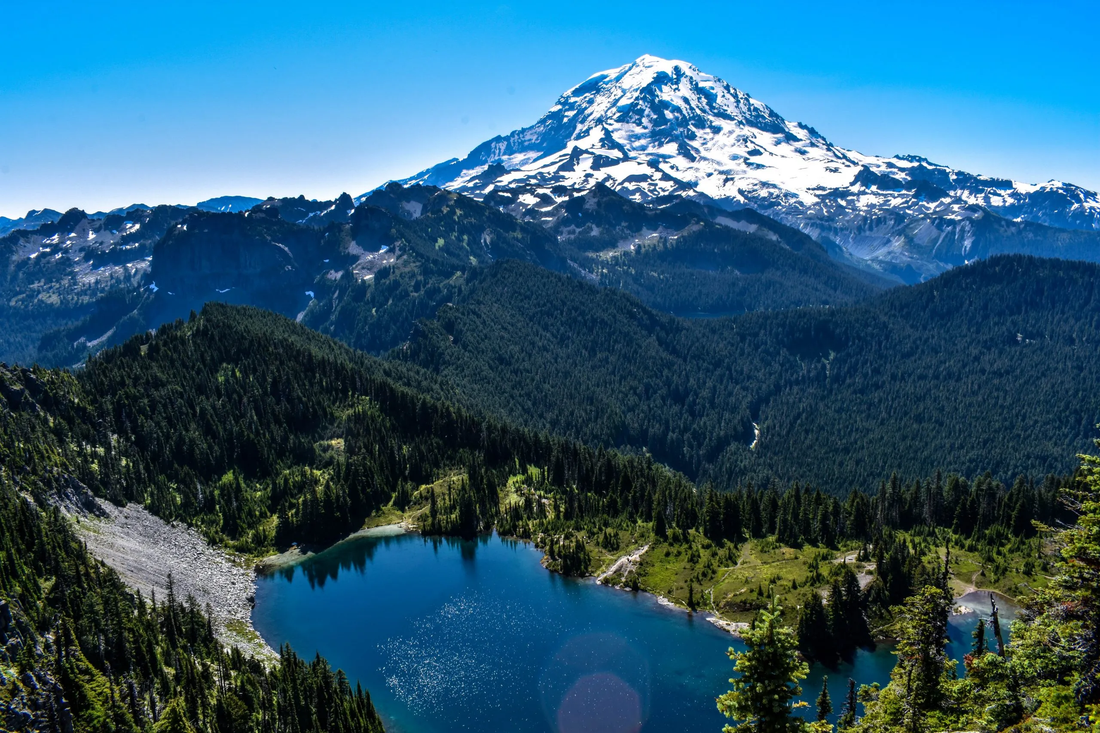 Top or Best Logo Animation Agencies and Companies in Tacoma, Washington