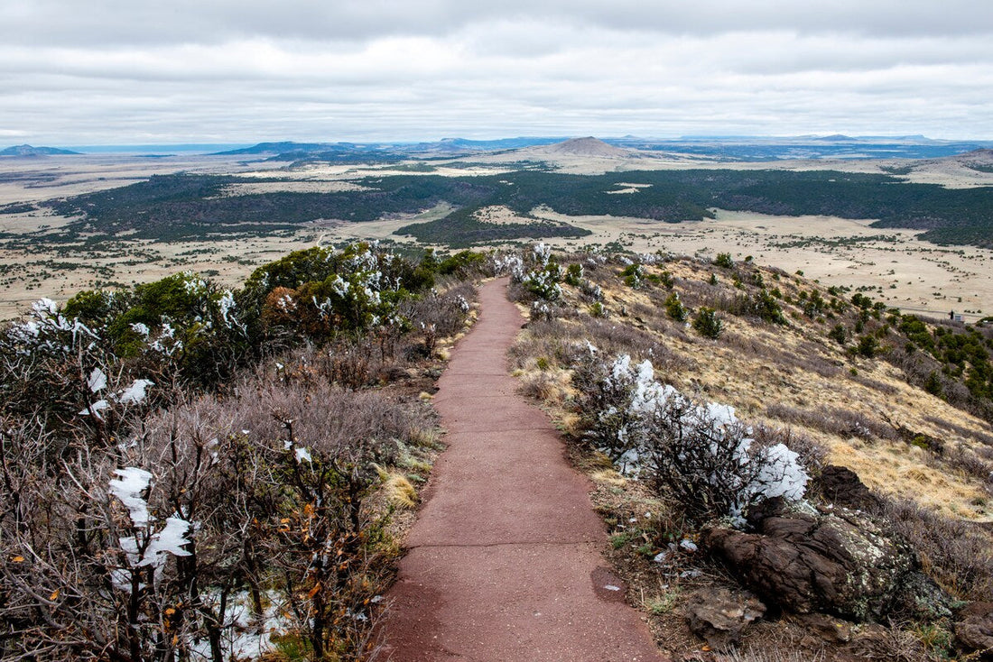 Top or Best Invitation Design Agencies and Companies in Chaparral, New Mexico