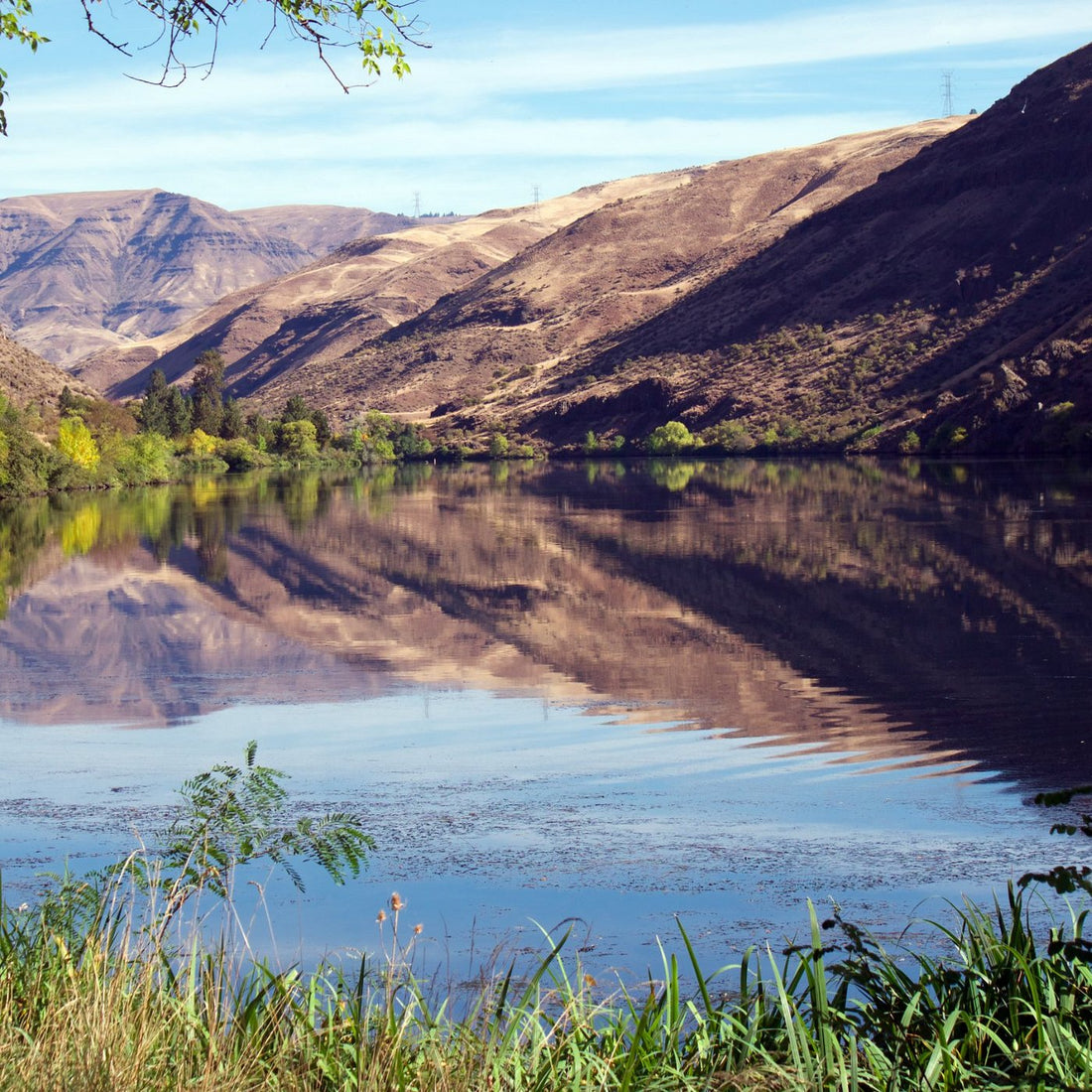 Top or Best Cartoons & Comics agencies and Companies in Lewiston, Idaho