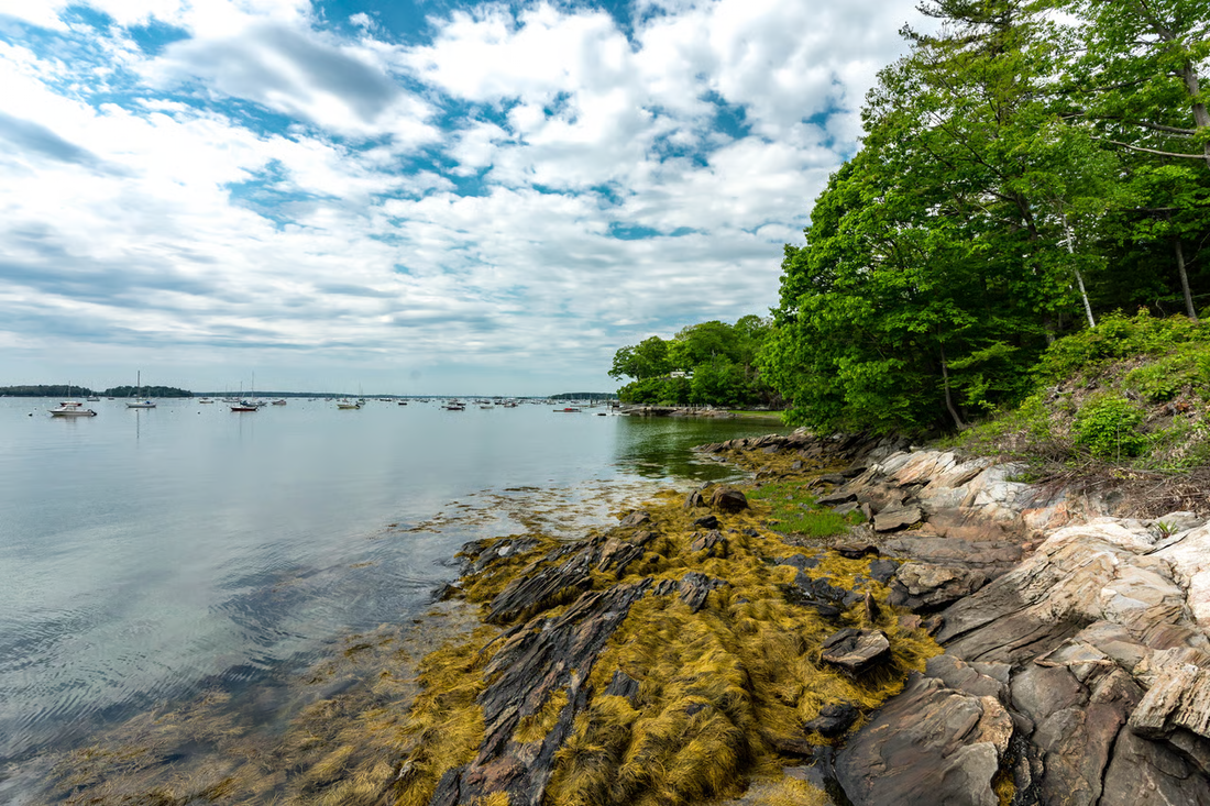 Top or Best Drawing & Illustration Agencies and Companies in Falmouth, Maine