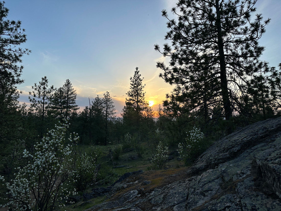 Top or Best Poster Design Agencies and Companies in Spokane Valley, Washington