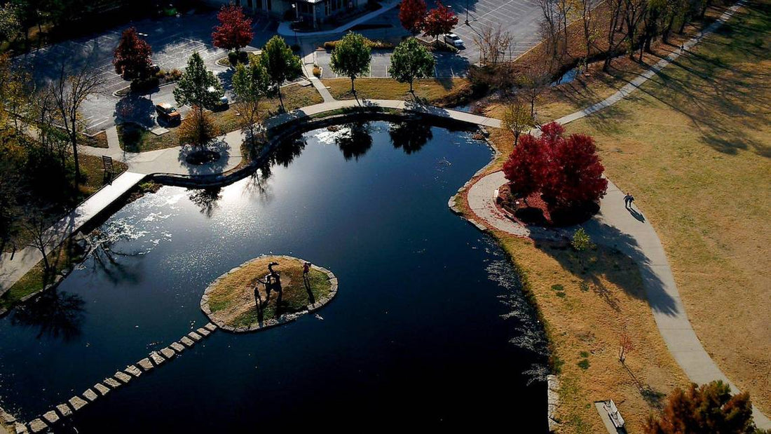 Top or Best Drawing & Illustration Agencies and Companies in Lenexa, Kansas