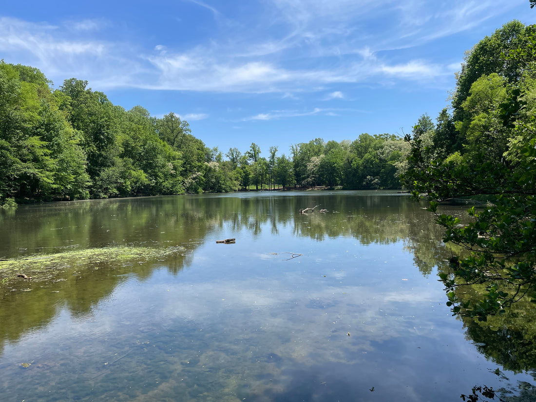 Top or Best Drawing & Illustration Agencies and Companies in Abington, Pennsylvania