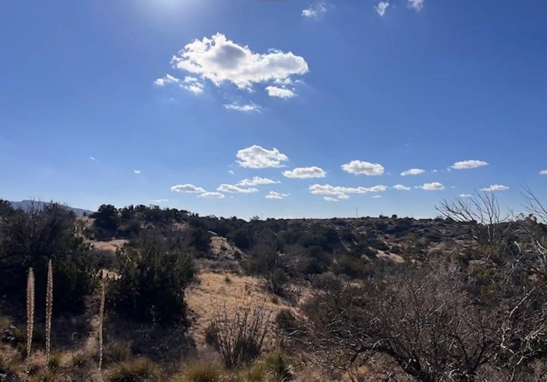Top or Best TikTok Management Agencies and Companies in Artesia, New Mexico