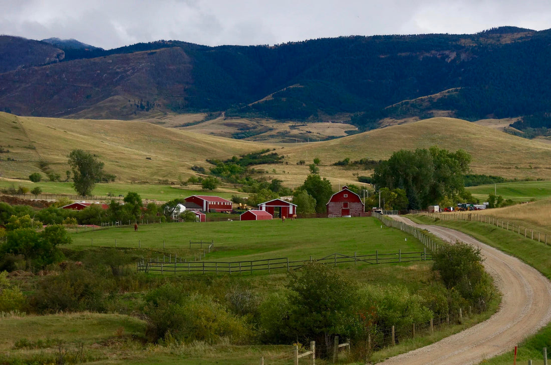 Top or Best Invitation Design Agencies and Companies in Sheridan, Wyoming