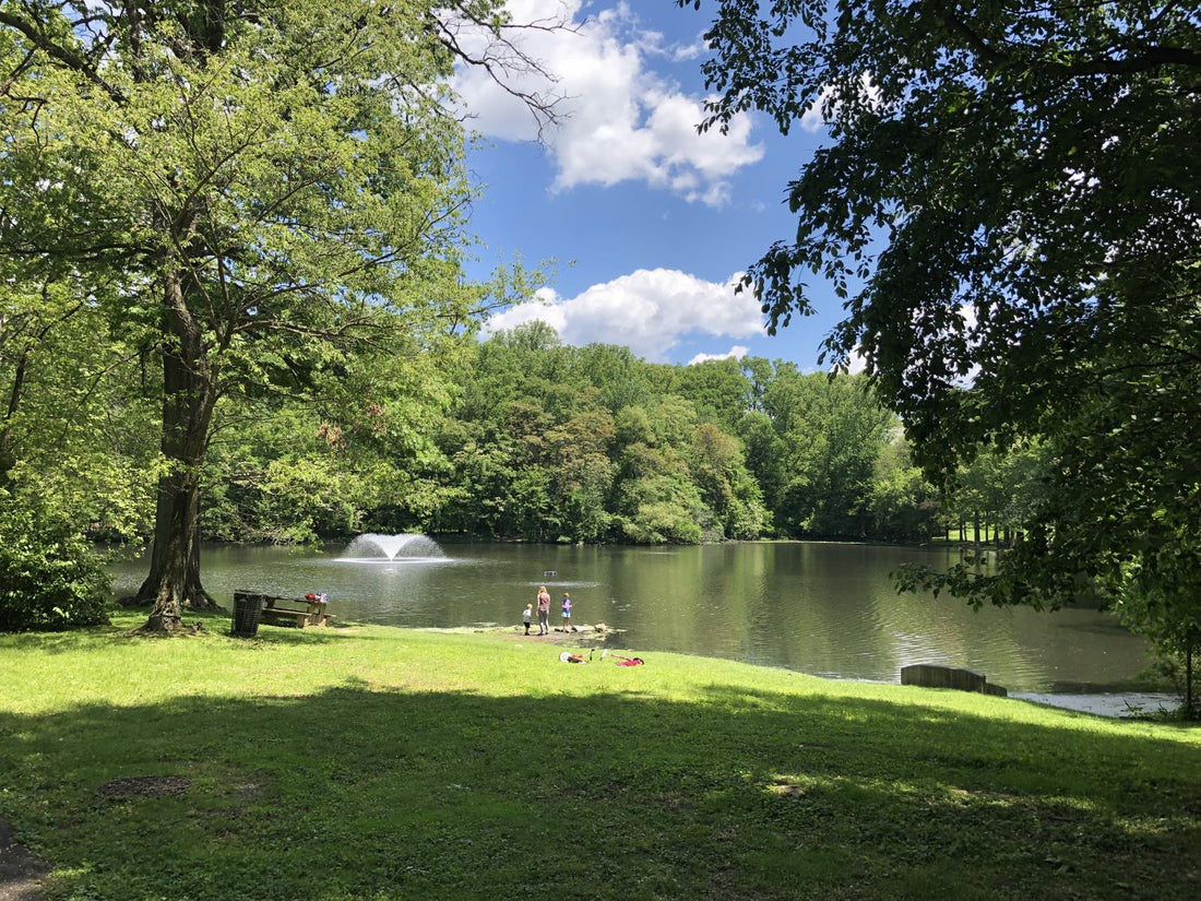 Top or Best Snapchat Management Agencies and Companies in Abington, Pennsylvania