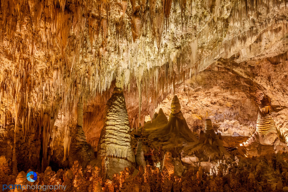 Top or Best Logo Design Agencies and Companies in Carlsbad, New Mexico