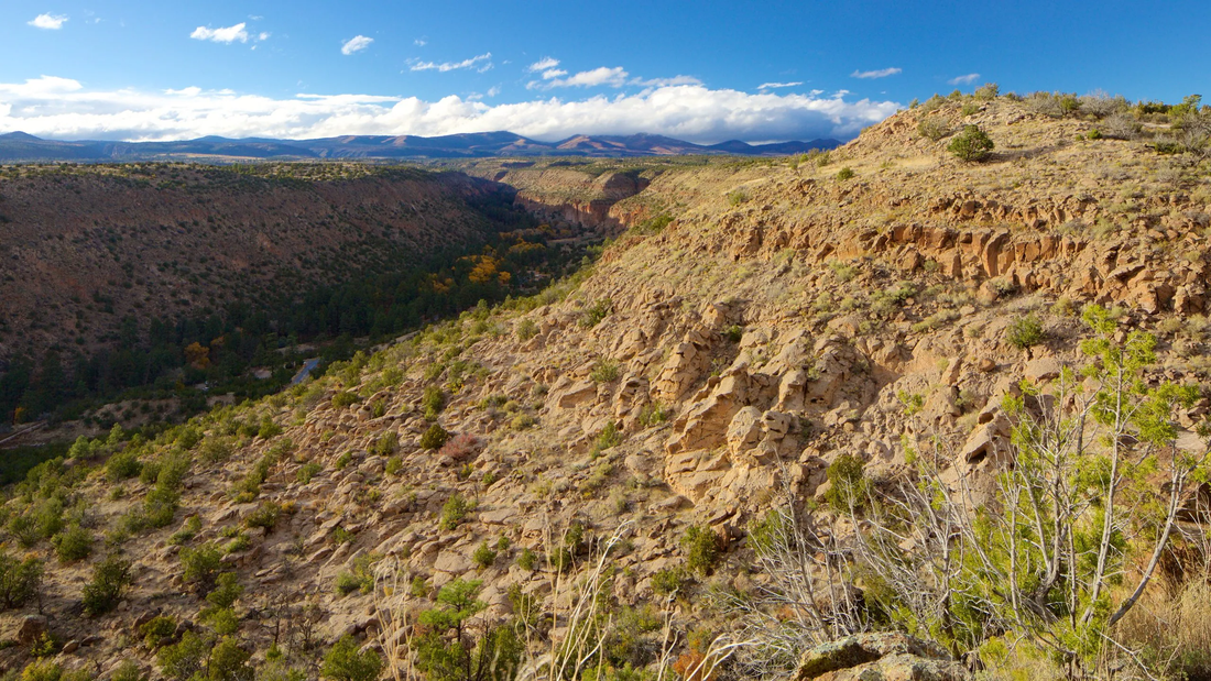 Top or Best Direct Mail Design Agencies and Companies in Los Alamos, New Mexico