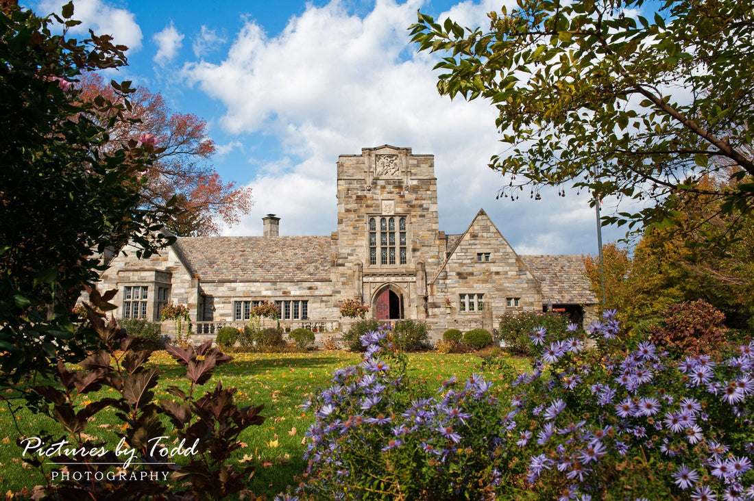 Top or Best Brand Identity Packages Agencies and Companies in Lower Merion, Pennsylvania