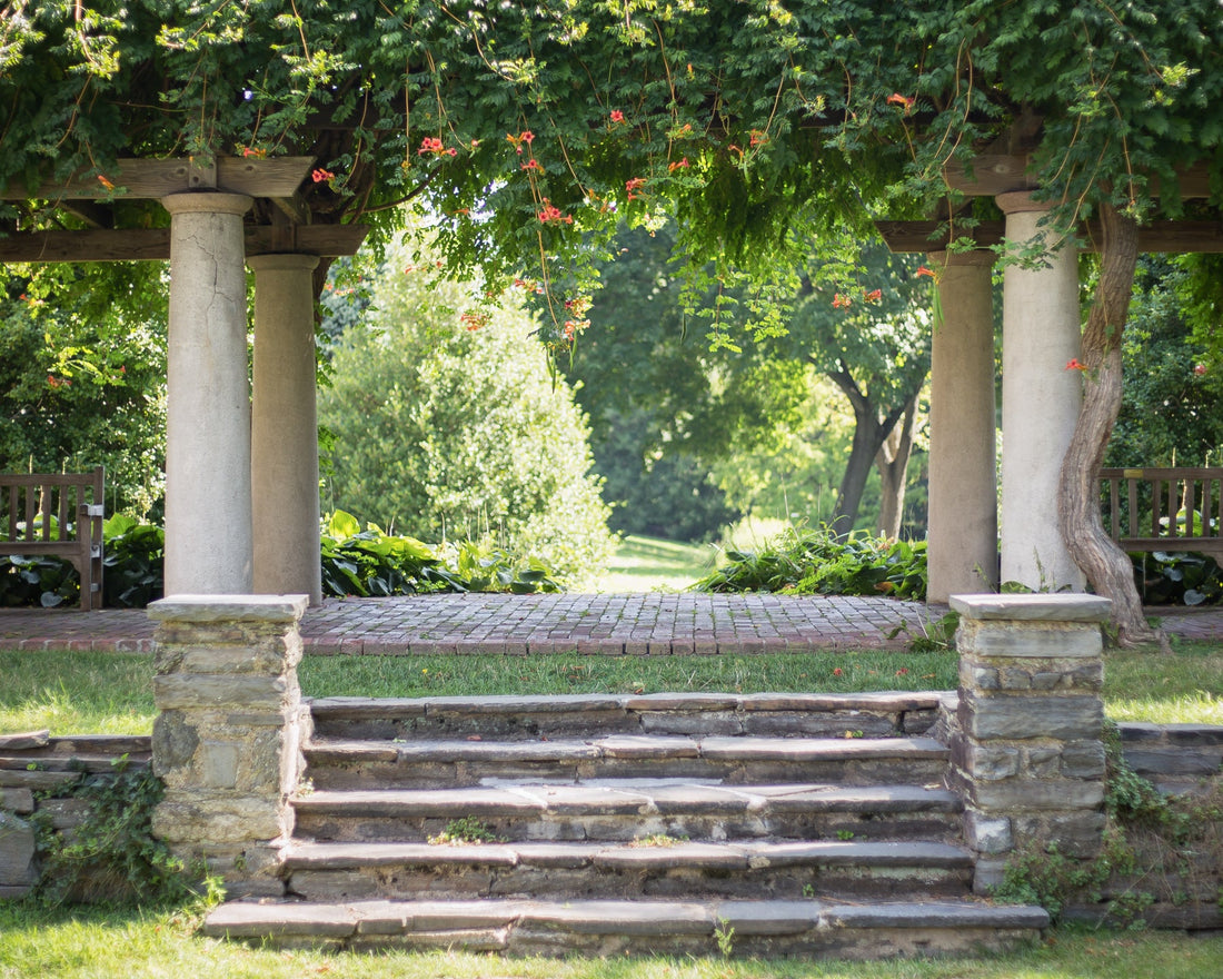 Top or Best Instagram Management Agencies and Companies in Bensalem, Pennsylvania