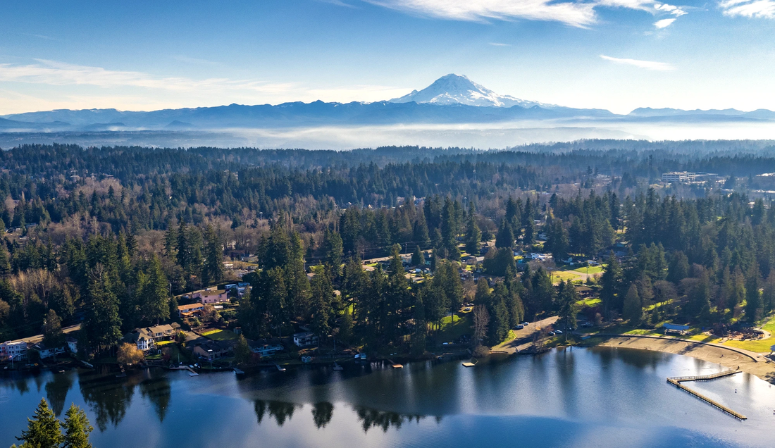 Top or Best Drawing & Illustration Agencies and Companies in Federal Way, Washington