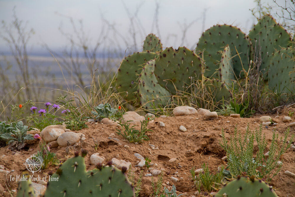 Top or Best Copywriting Agencies and Companies in Artesia, New Mexico