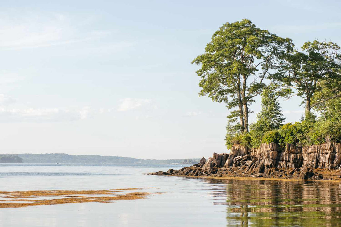 Top or Best Storyboards Agencies and Companies in Falmouth, Maine