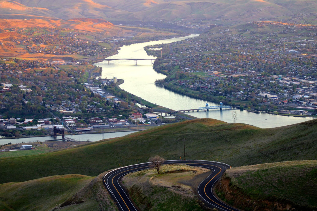 Top or Best Twitch Management agencies and Companies in Lewiston Idaho