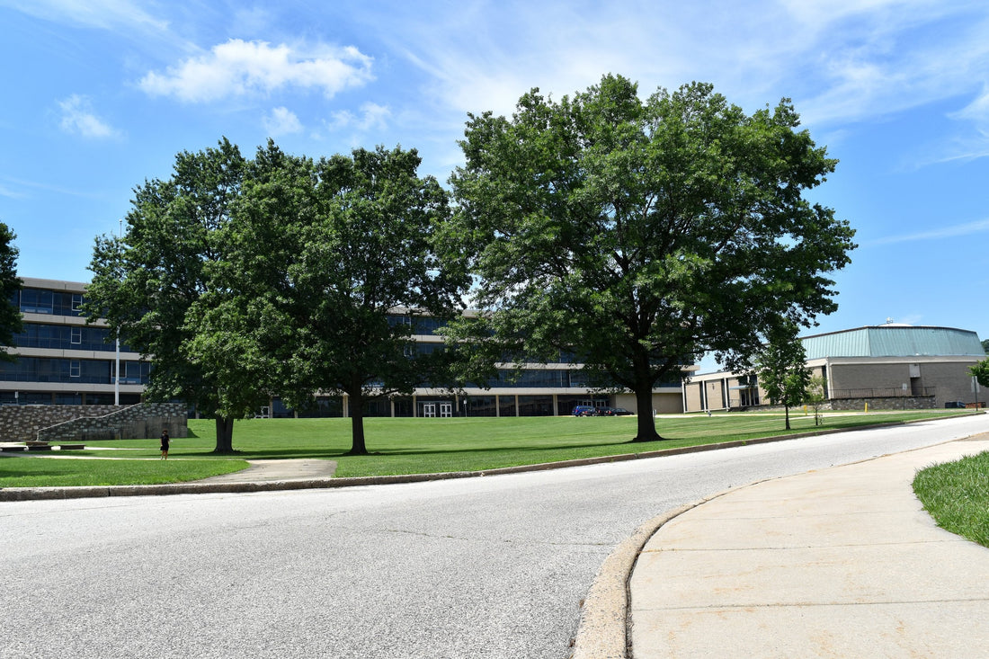 Top or Best Flyer Design Agencies and Companies in Abington, Pennsylvania