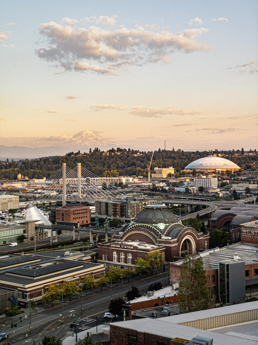 Top or Best Drawing & Illustration Agencies and Companies in Tacoma, Washington