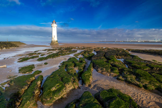 Top or Best TikTok Management Agencies and Companies in Wirral, England