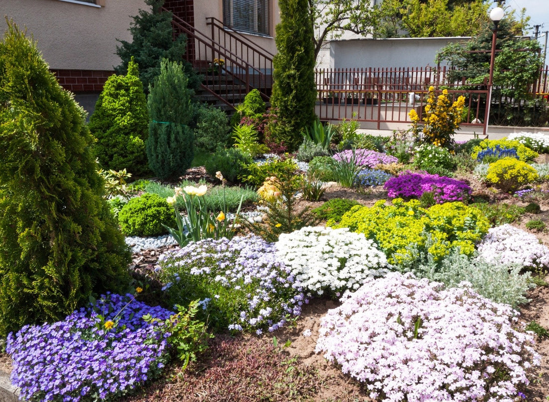 Top or Best Social Media Design Agencies and Companies in Lower Merion, Pennsylvania