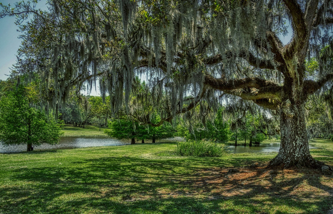 Top or Best Catalog Design Agencies and Companies in Hammond, Louisiana