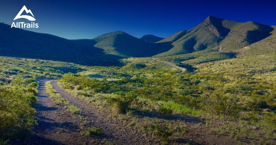 Top or Best Business Card Design Agencies and Companies in Chaparral, New Mexico