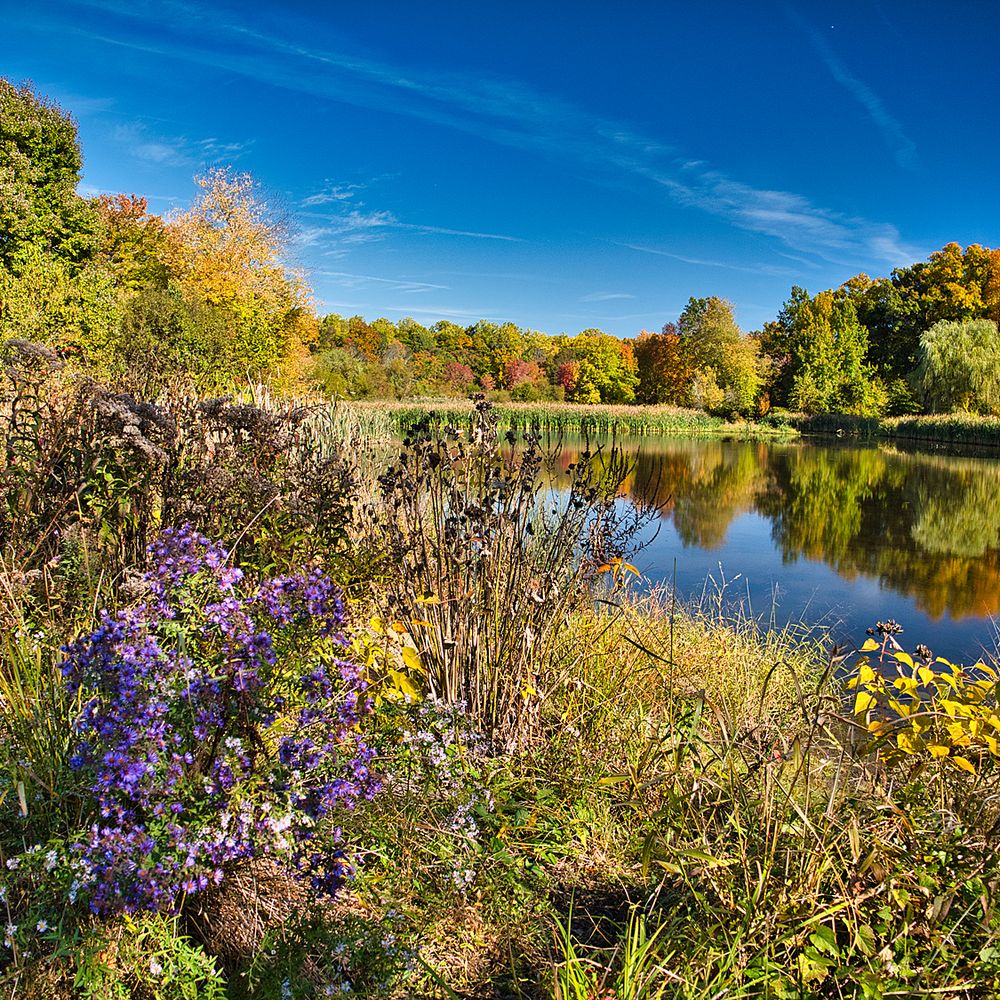 Top or Best Graphic Design Agencies and Companies in Bensalem, Pennsylvania