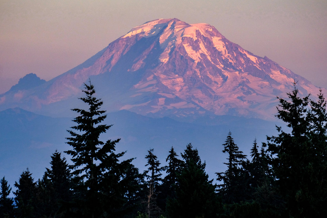 Top or Best Stationery Design Agencies and Companies in Kent Washington