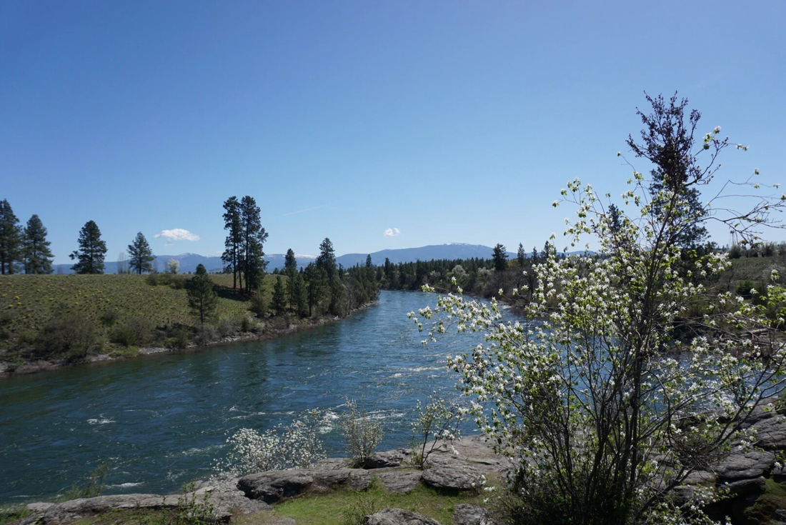 Top or Best Facebook Management Agencies and Companies in Spokane Valley Washington