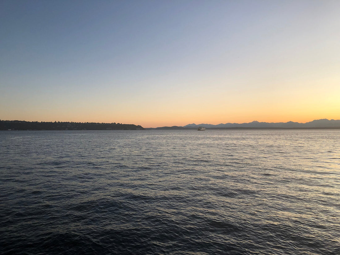 Top or Best Custom Graphics for Videos Agencies and Companies in Federal Way, Washington