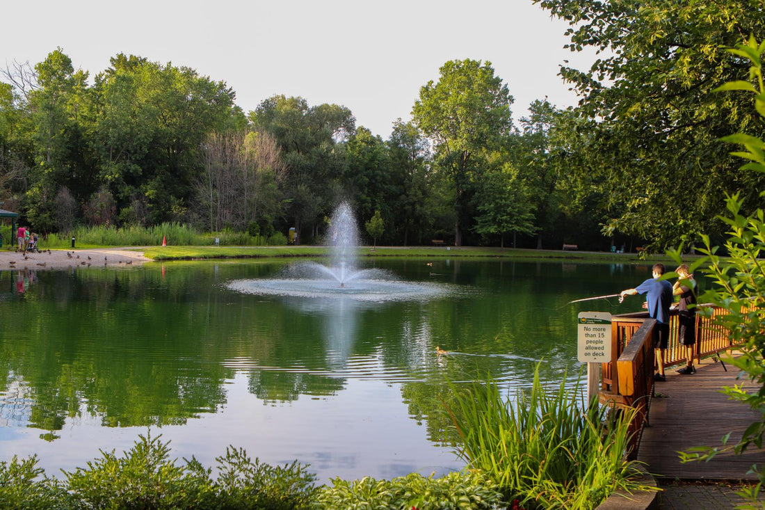 Top or Best Facebook Management Agencies and Companies in Shelby Charter Township, Michigan