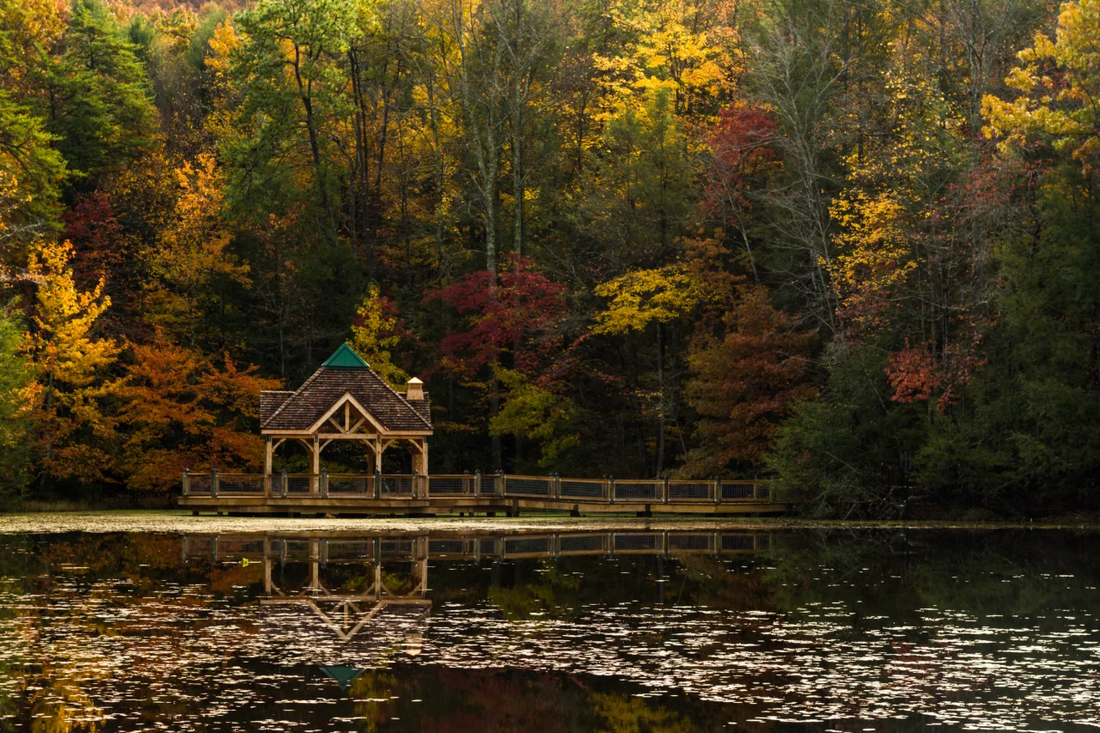 Top or Best Graphic Design Subscription Agencies and Companies in Kingsport, Tennessee