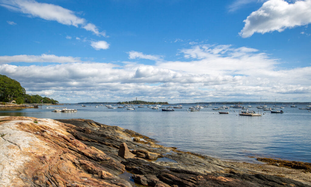 Top or Best Cartoons & Comics Agencies and Companies in Falmouth, Maine