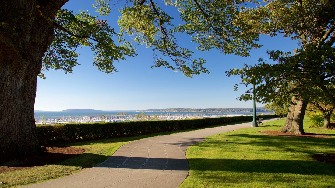 Top or Best Portraits & Caricatures Agencies and Companies in Everett, Washington