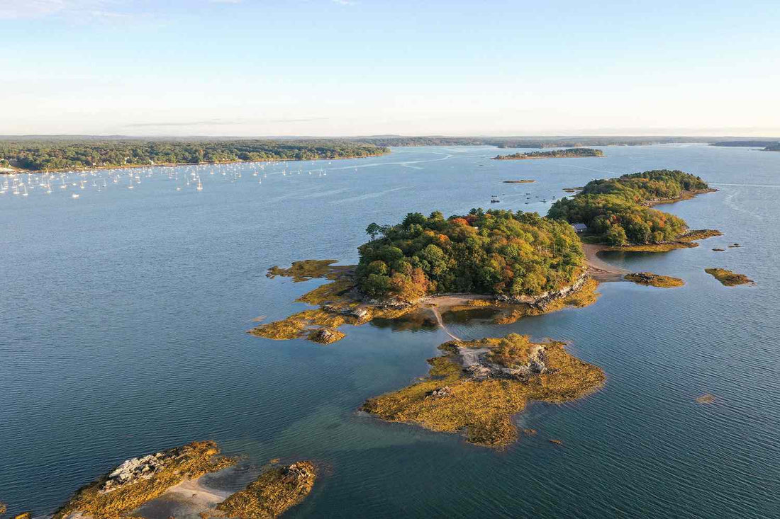 Top or Best LinkedIn Management Agencies and Companies in Falmouth, Maine