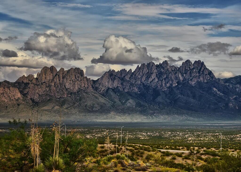 Top or Best LinkedIn Management Agencies and Companies in Chaparral, New Mexico