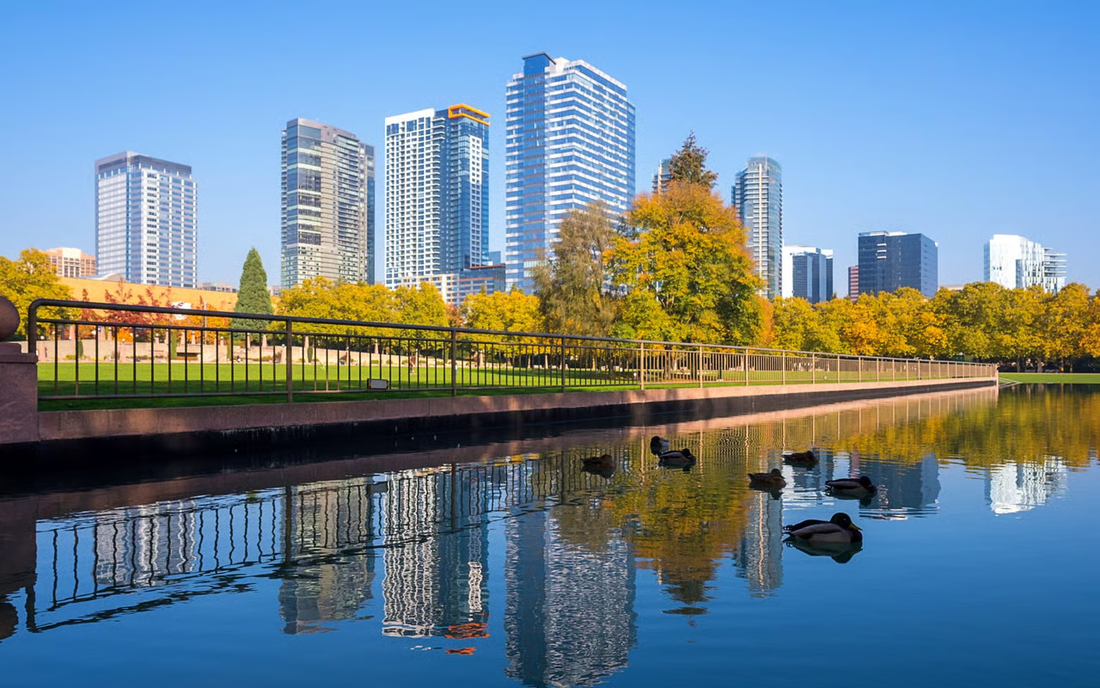 Top or Best Infographic Design Agencies and Companies in Bellevue Washington