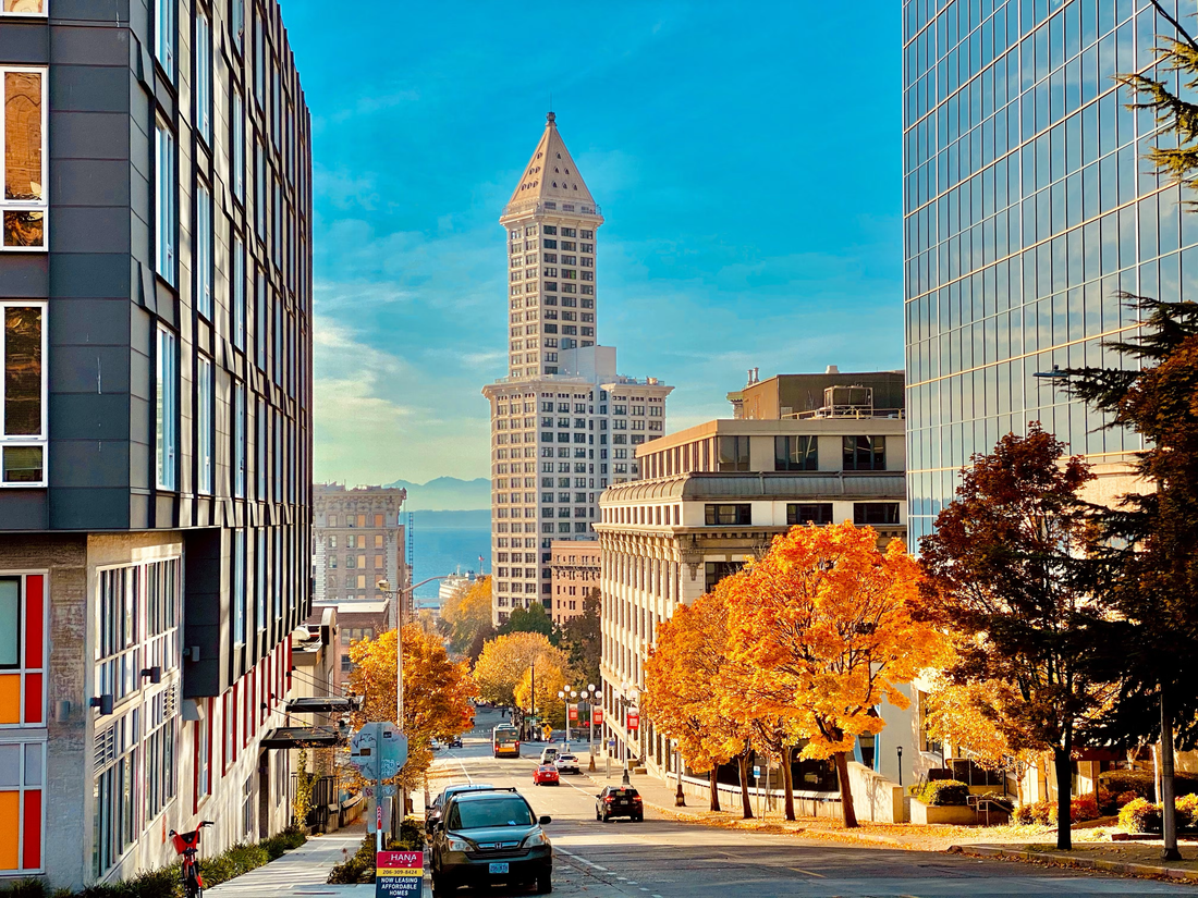 Top or Best Banner Ads Agencies and Companies in Seattle, Washington