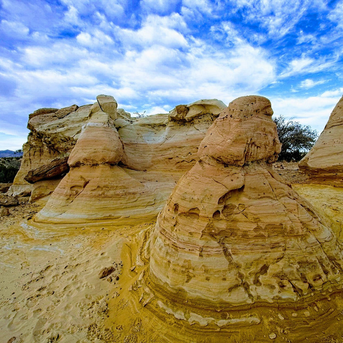 Top or Best Catalog Design Agencies and Companies in Portales, New Mexico