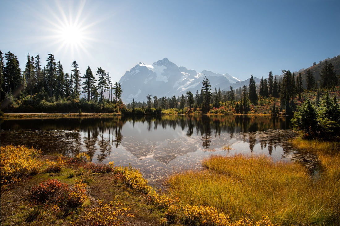 Top or Best Copywriting Agencies and Companies in Seattle, Washington