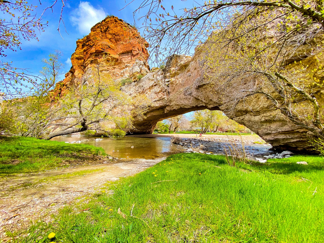 Top or Best NFT Art Agencies and Companies in Douglas Wyoming