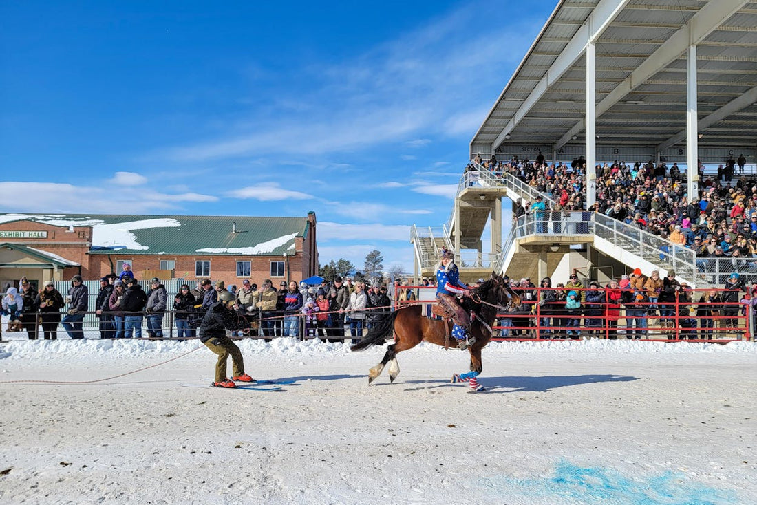 Top or Best Poster Design Agencies and Companies in Sheridan, Wyoming