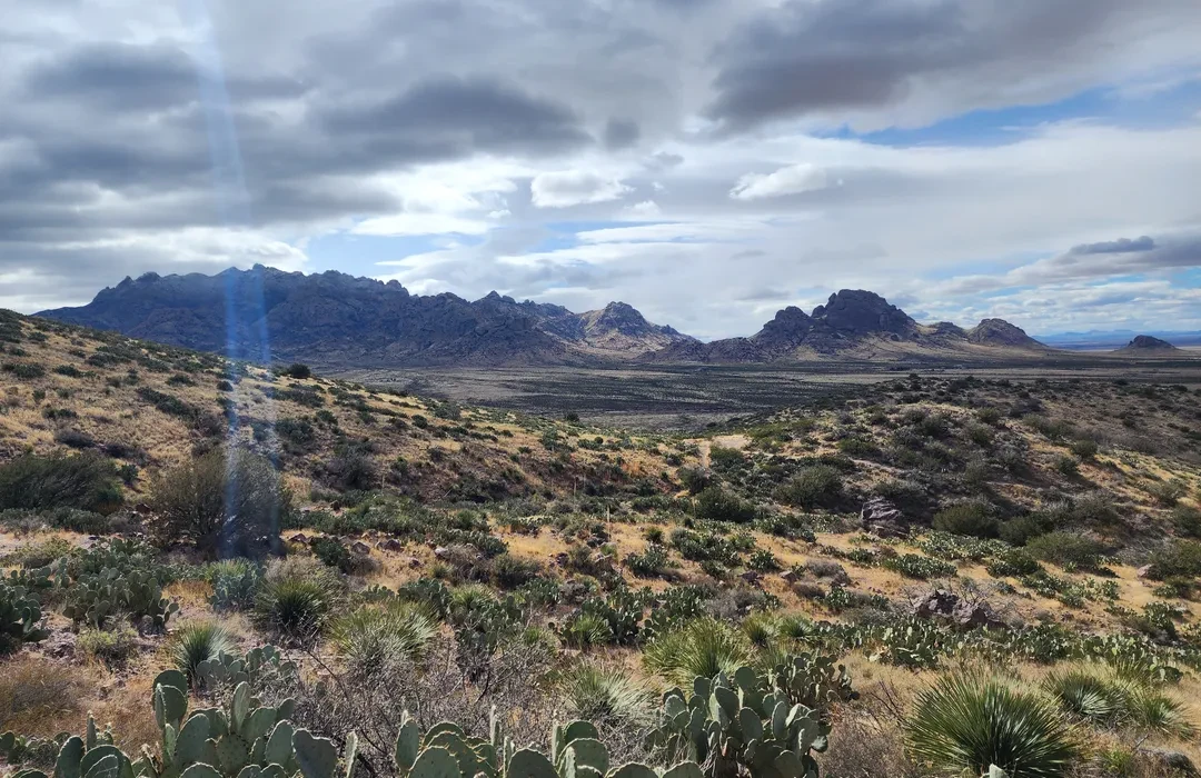 Top or Best Brochure Design Agencies and Companies in Deming, New Mexico